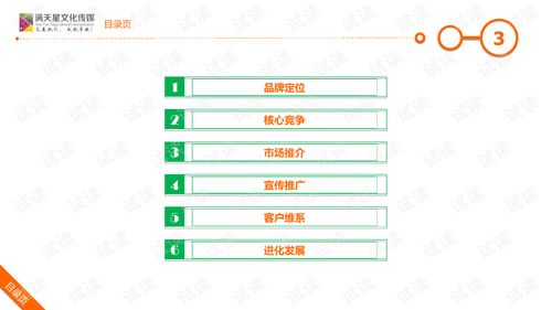 大米姐品牌营销策划案 企业形象策划与商业计划书精品模板